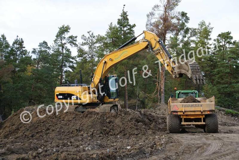 Cat-323